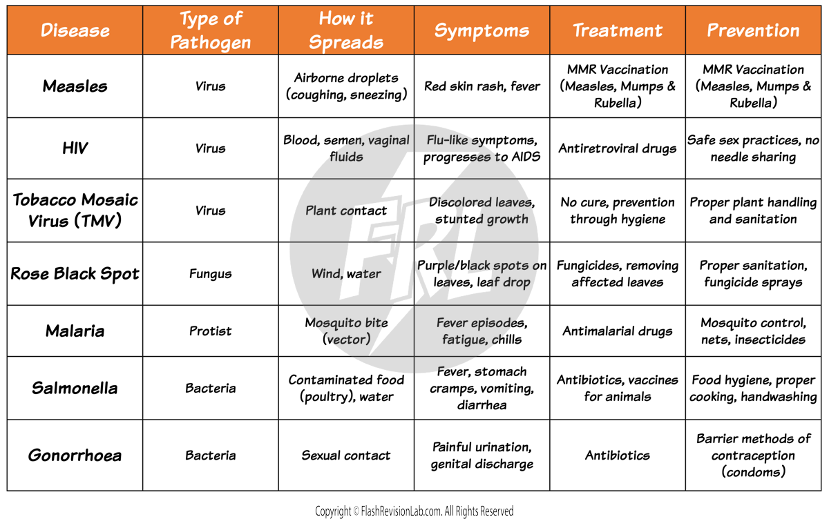 Types of Diseases